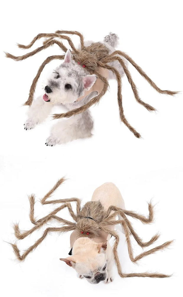 Pet Halloween Costume Black Spider Pet Decoration Small Dog Cat Decoration Ghost Day Accessories Ornament Creative Decor Supplie