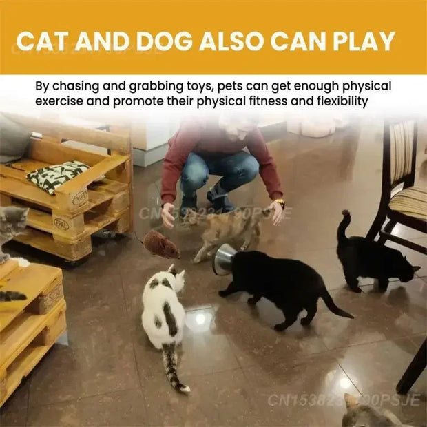 “Cat Mouse Toy – Plush, Sound Simulation, Durable & Fun”