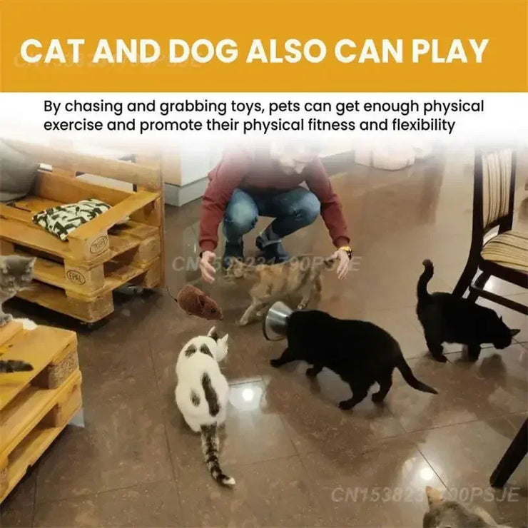 “Cat Mouse Toy – Plush, Sound Simulation, Durable & Fun”