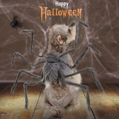 Pet Halloween Costume Black Spider Pet Decoration Small Dog Cat Decoration Ghost Day Accessories Ornament Creative Decor Supplie
