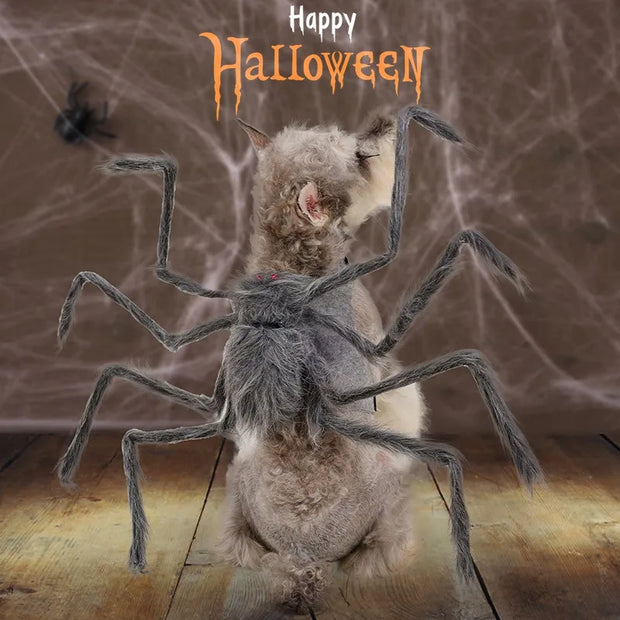 Pet Halloween Costume Black Spider Pet Decoration Small Dog Cat Decoration Ghost Day Accessories Ornament Creative Decor Supplie