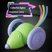 Rechargeable Interactive Pet Mouse Toy