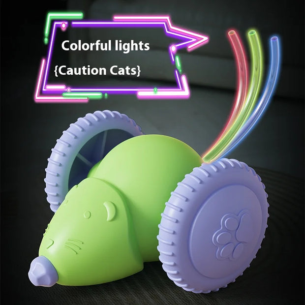 Rechargeable Interactive Pet Mouse Toy