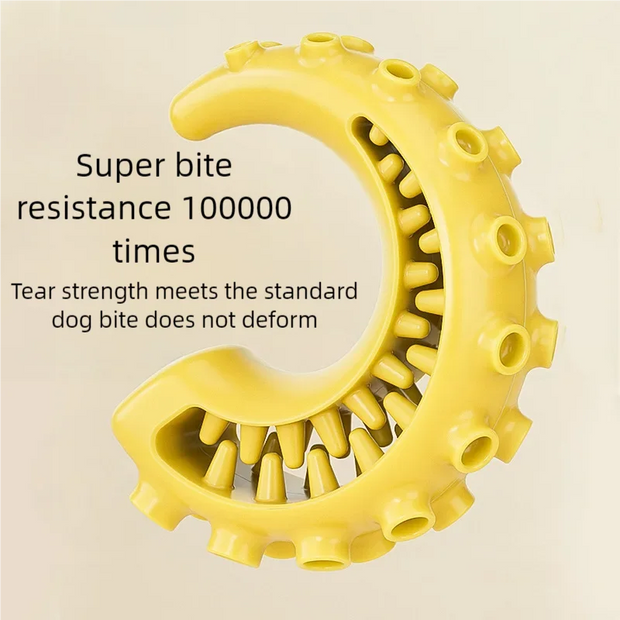 Dog Teeth Cleaning Chew Toy