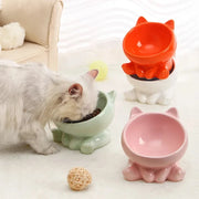 Ceramic Elevated Cat Food Bowl