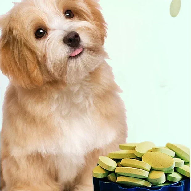 Tablets Pet Multivitamin Supplements