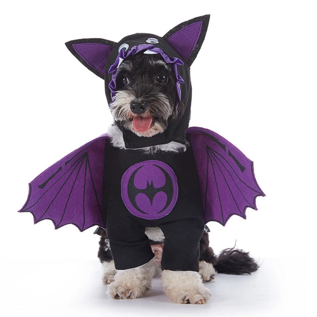 Funny Dog Halloween & Christmas Costumes