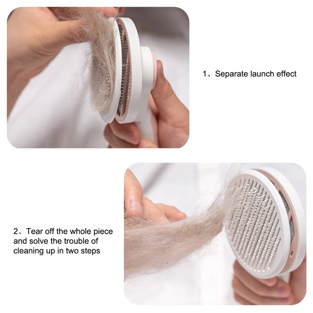 Easy Clean Cat Beauty Brush
