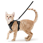 Fashion Cat Collar Necklace Set