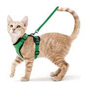 Fashion Cat Collar Necklace Set
