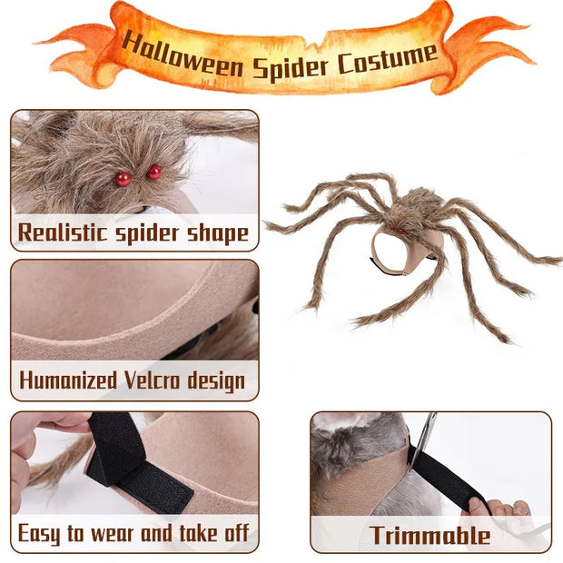 Pet Halloween Costume Black Spider Pet Decoration Small Dog Cat Decoration Ghost Day Accessories Ornament Creative Decor Supplie