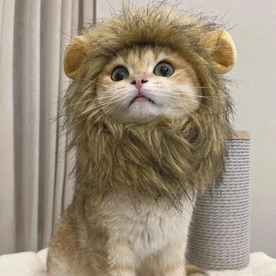 Pet Hat Lion Mane for Cats, Costume Halloween