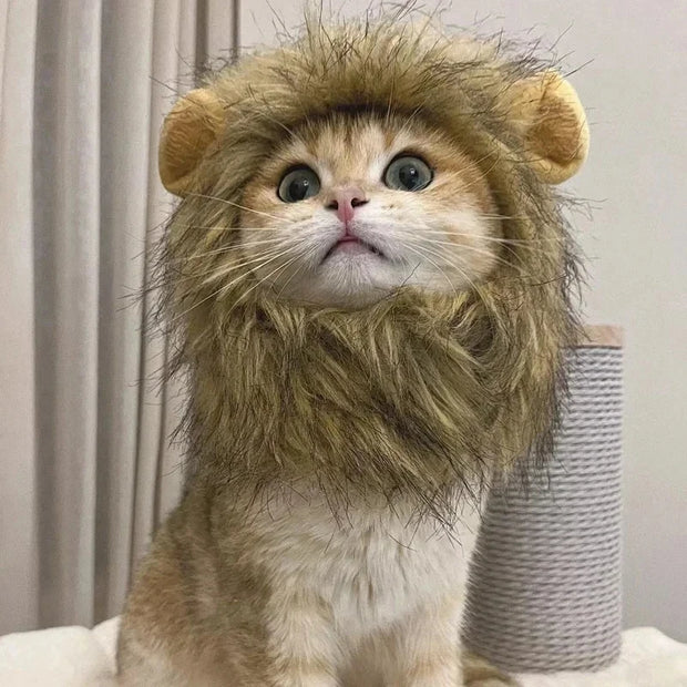 Pet Hat Lion Mane for Cats, Costume Halloween