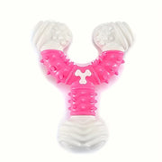 Y-Shaped Dog Teething Chew Toy