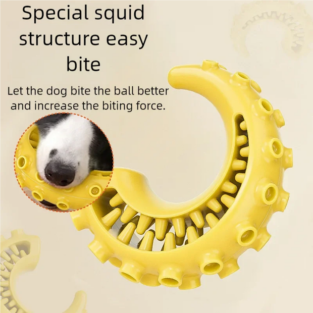 Dog Teeth Cleaning Chew Toy