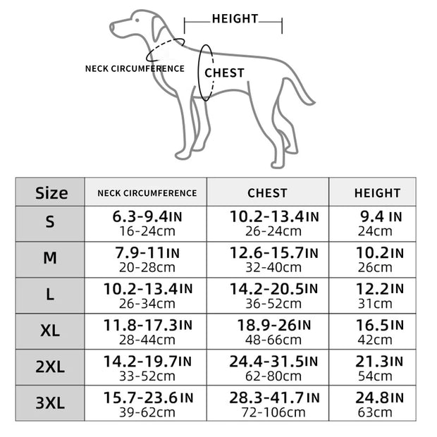 Pet Dog Halloween Costume Skeleton Dog Transformation Outfit Comfortable and Cool Large Dog Clothes Pet Supplies