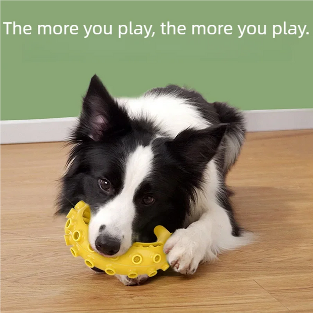 Dog Teeth Cleaning Chew Toy