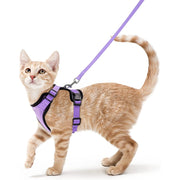 Fashion Cat Collar Necklace Set