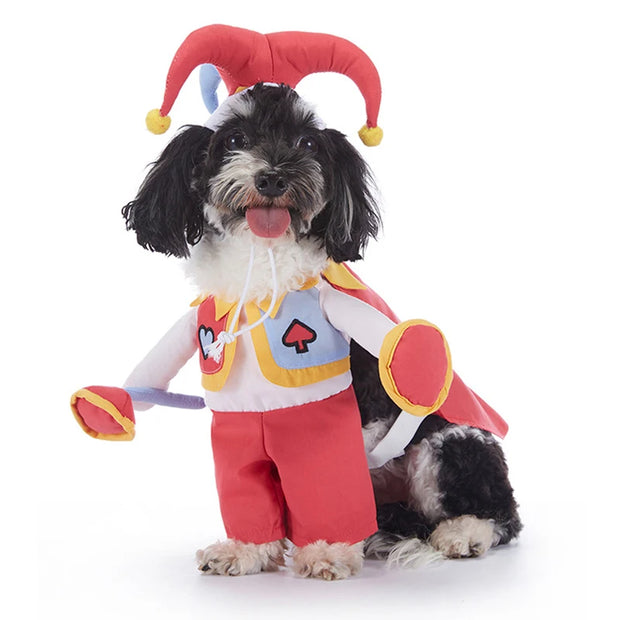 Funny Dog Halloween & Christmas Costumes